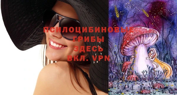 меф Алексин
