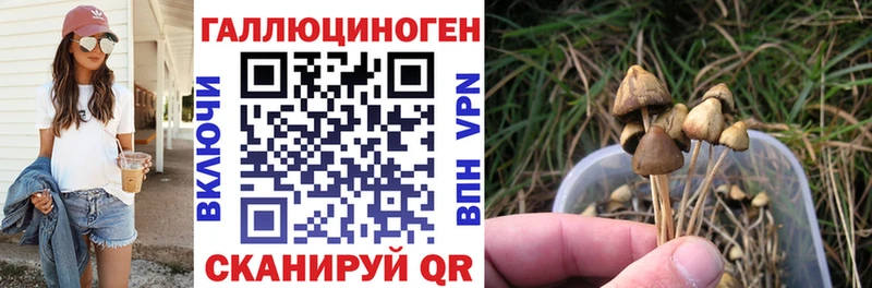 Галлюциногенные грибы MAGIC MUSHROOMS  блэк спрут ТОР  Сураж 